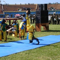 dsc00333 001
